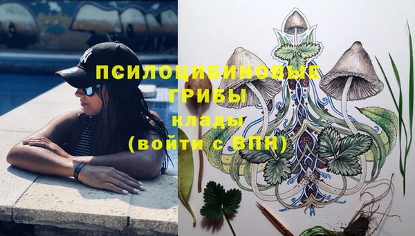 таблы Медвежьегорск