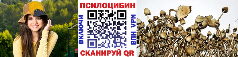 Галлюциногенные грибы Psilocybine cubensis  Рыбинск 