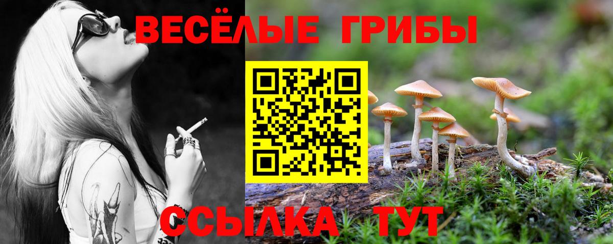 Псилоцибиновые грибы Cubensis  Псилоцибиновые грибы GOLDEN TEACHER  Рыбинск  Вход с VPN 